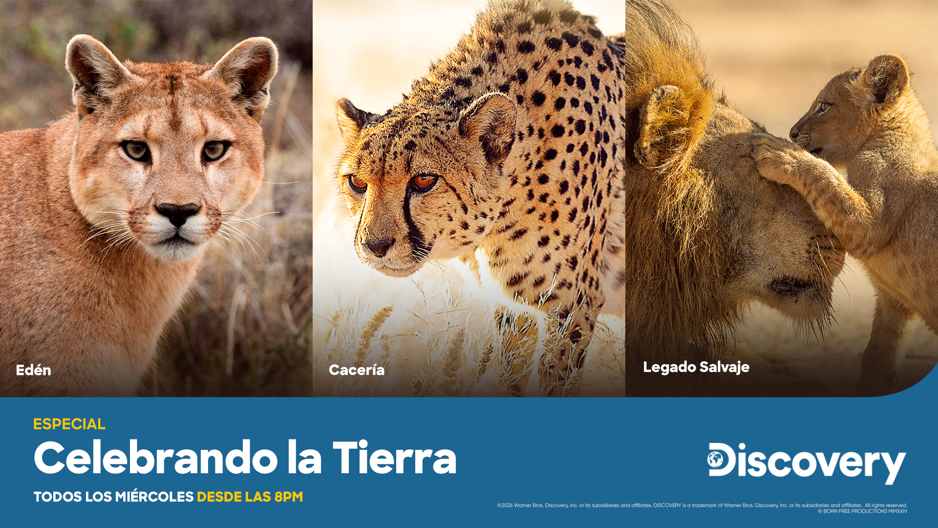 Destacados Abril (1)